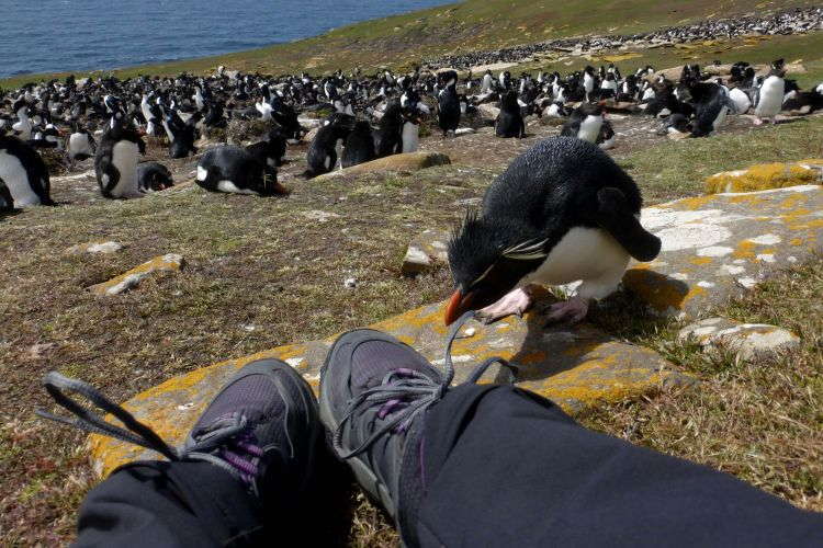 31 Great Travel Selfies That Prove The Self-Portrait Isn't Always Obnoxious