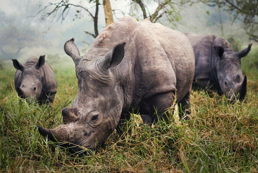 2015 National Geographic Traveler Photo Contest Uganda
