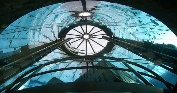 Berlin's AquaDom Tower, The World's Fishiest - And Coolest - Hotels