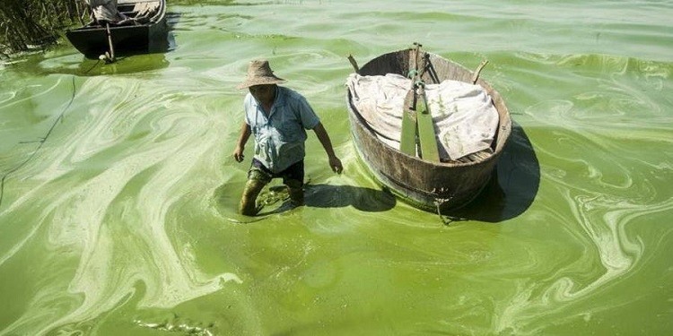 China Pollution Green Water