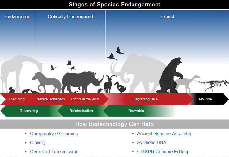 Extinct animals timeline