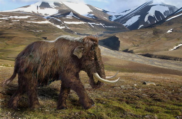 how to clone a mammoth the science of de extinction