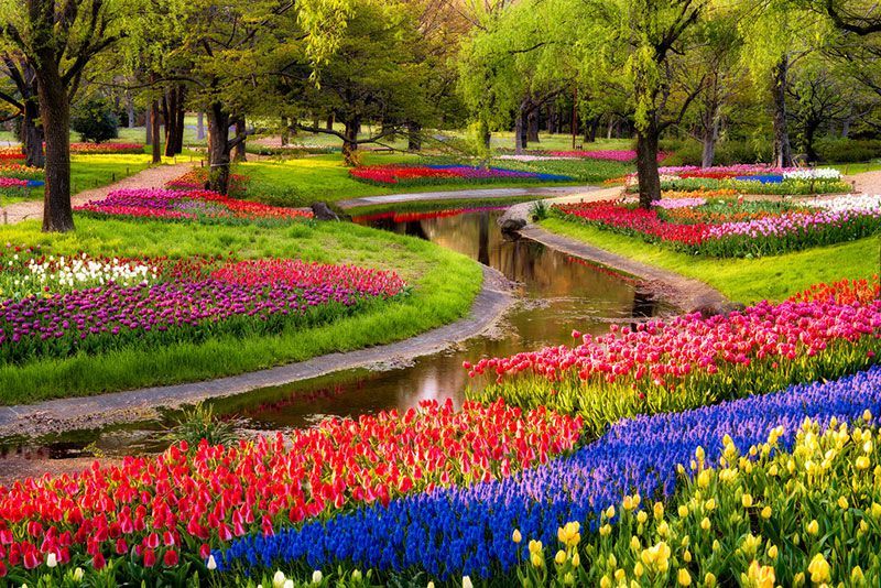 Hitachi Seaside Park Serpent Garden