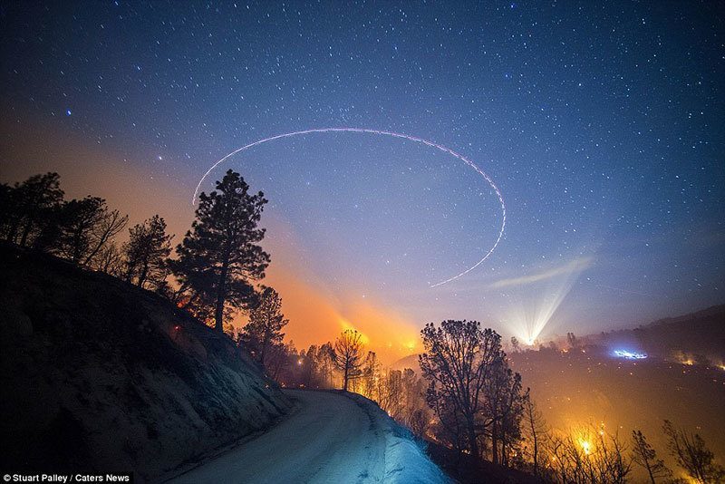 Stuart Palley Fires