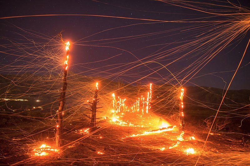 Terra Flamma Stuart Palley