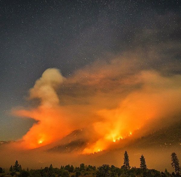 Terra Flamma Willow Fire