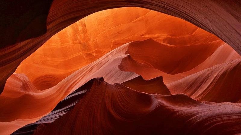 Washington Post Photo Contest