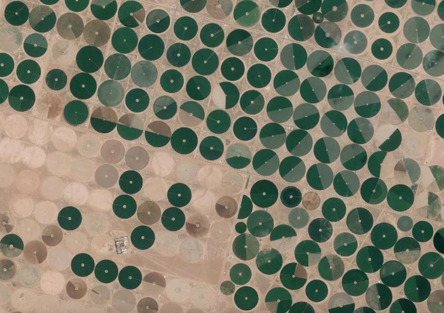 Irrigation Circles Saudi Arabia