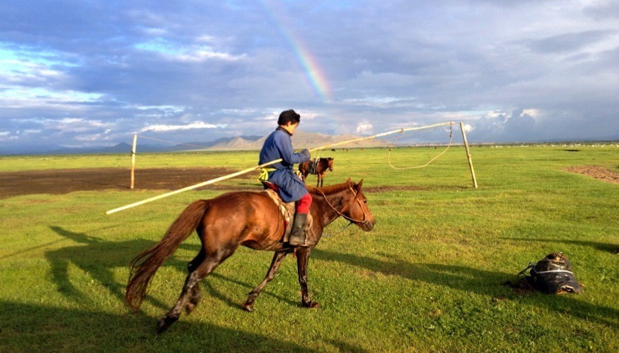 Mongolia Nomads Rainbow Horse