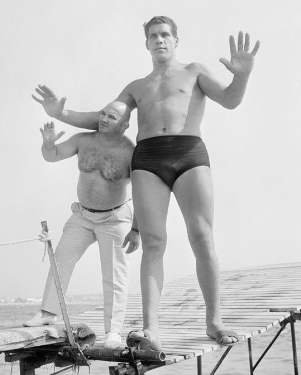 andre the giant and arnold schwarzenegger