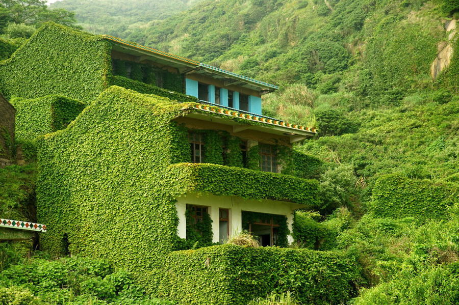 China House Reclaimed By Nature