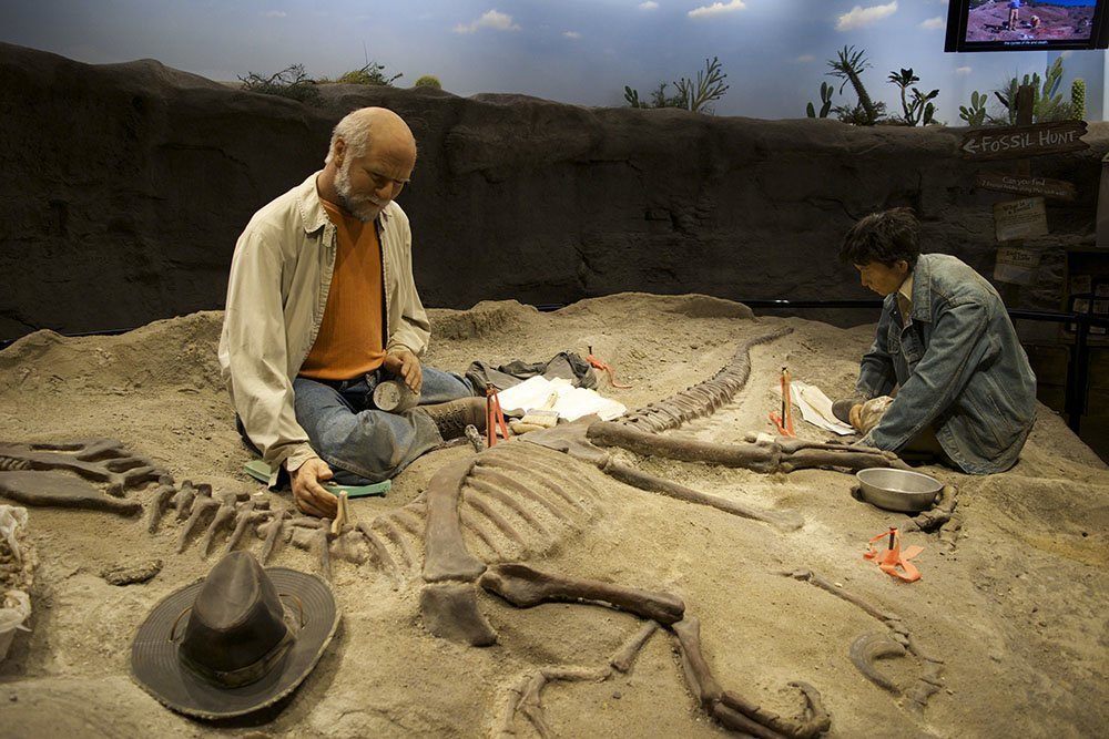 Creation Museum Fossil Dig