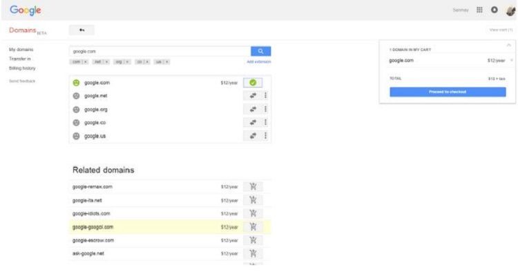 Google Domain Purchase Screenshot