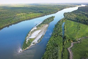 Meet The President Of Liberland, A Tea Party Paradise In Eastern Europe