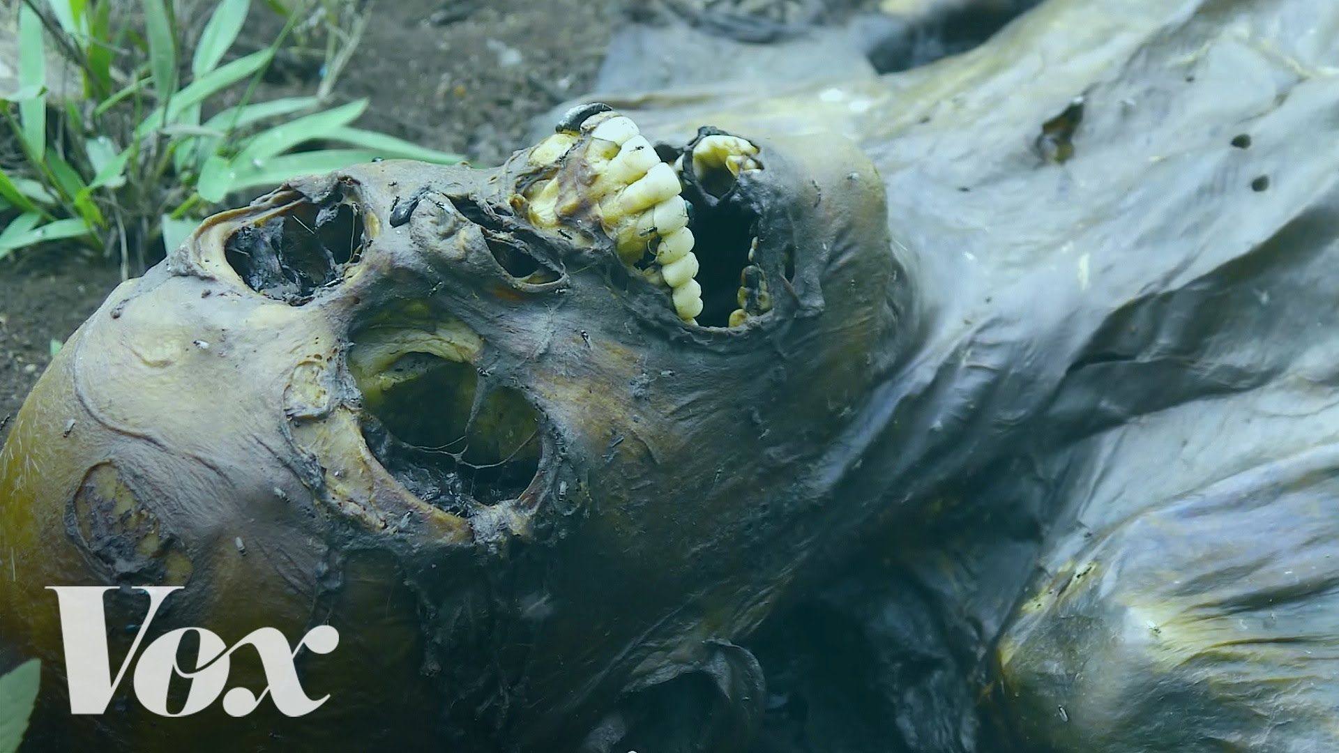 Video Of The Day: This Is How A Human Body Decomposes
