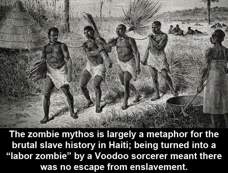 Facts About Zombies