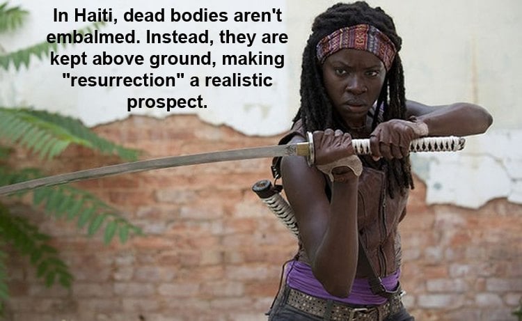 Cool Facts About Michonne