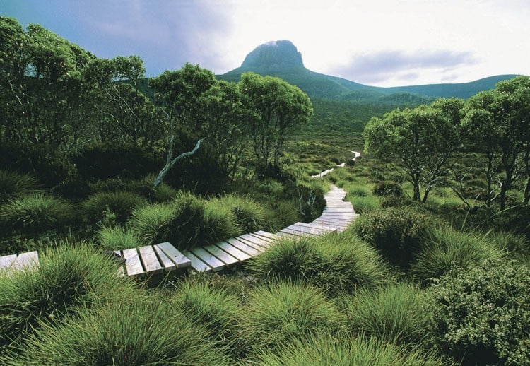 Best Hiking Trails Overland Track