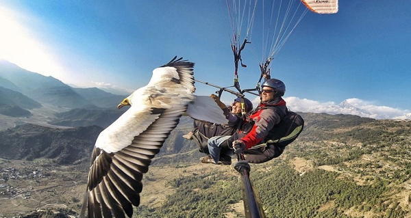 The 33 Best GoPro Photos Ever Will Make Your Jaw Drop