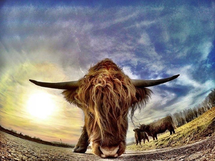 The 33 Best GoPro Photos Ever Will Make Your Jaw Drop