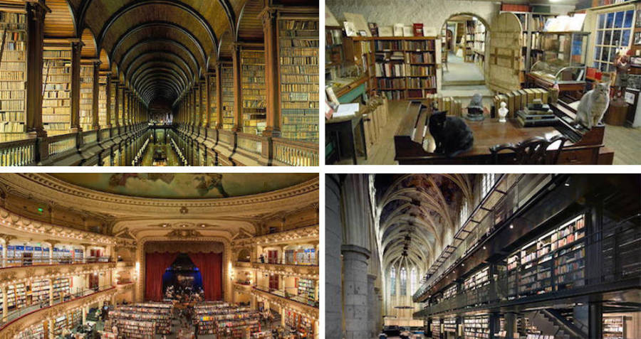 Cool Bookstores