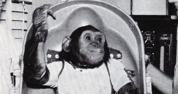 Meet Enos, The First Chimpanzee To Orbit The Earth