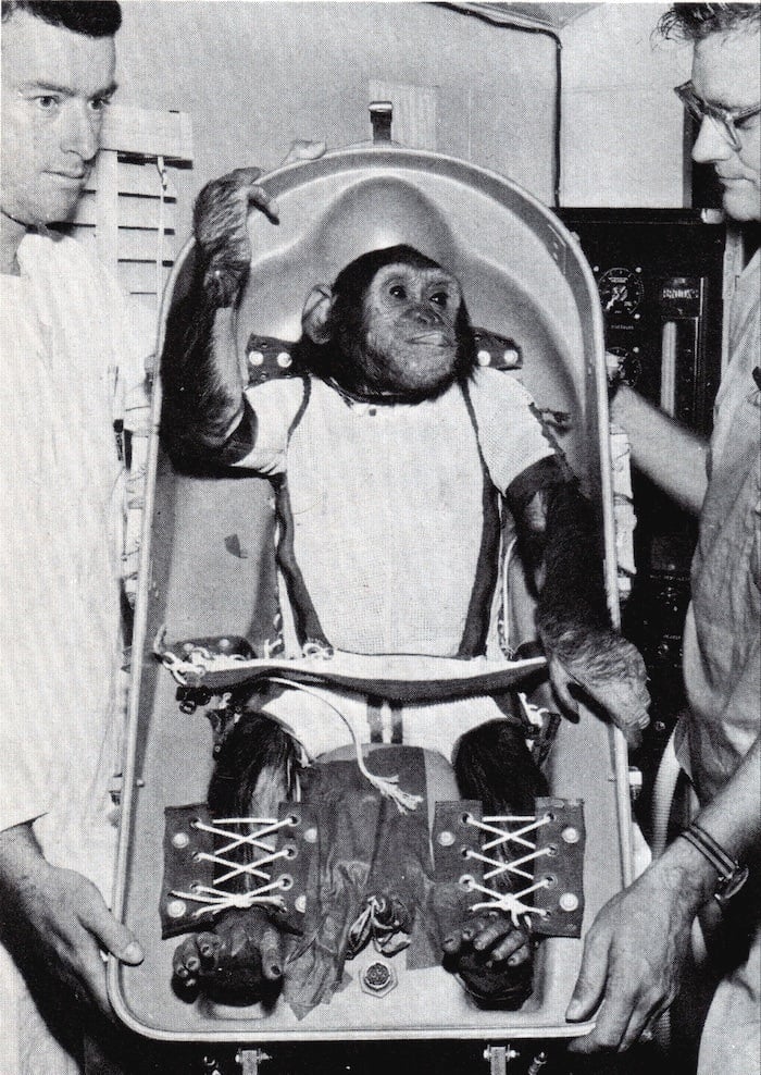 Meet Enos, The First Chimpanzee To Orbit The Earth