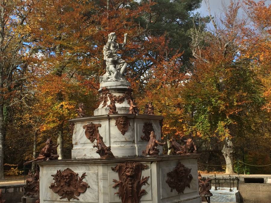 Fall Granja Frogs Fountain