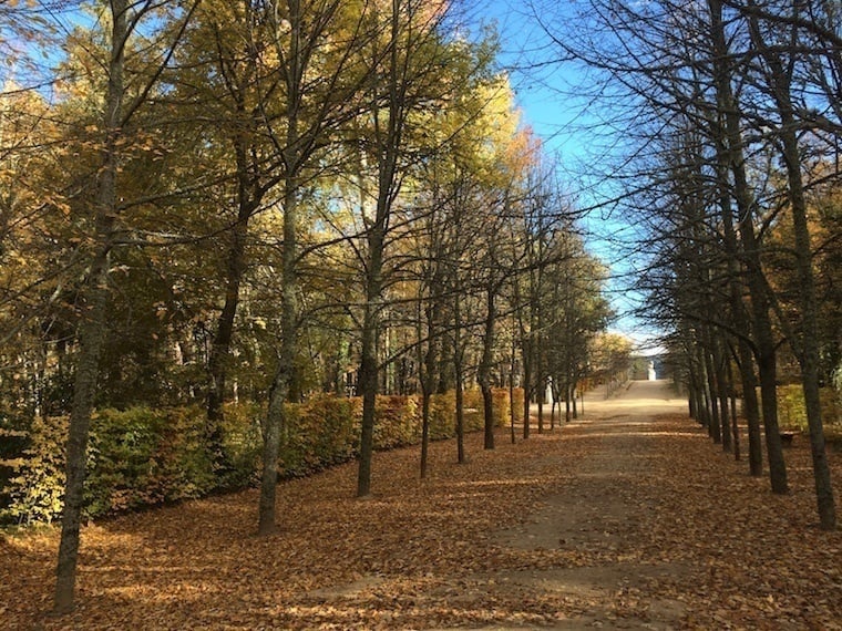 Fall Granja Street View