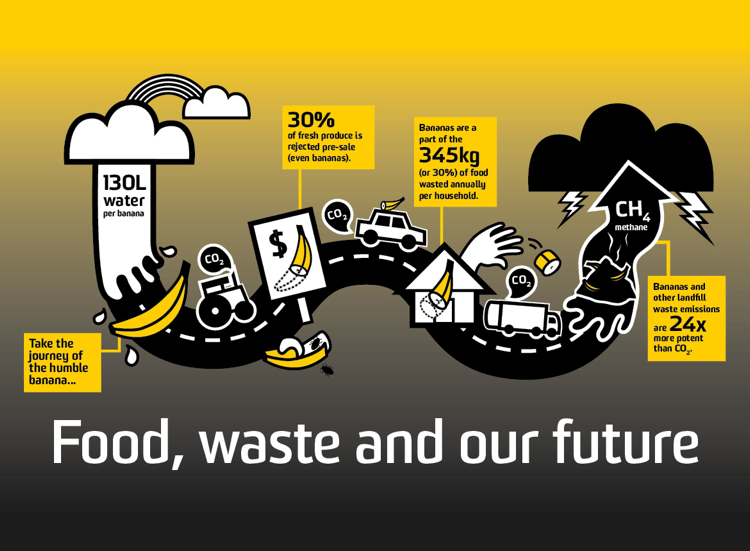 Food Waste Environment Infographic