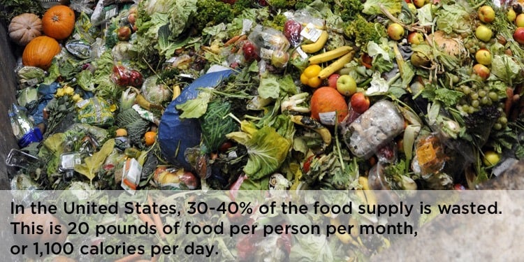 Food Waste Pile