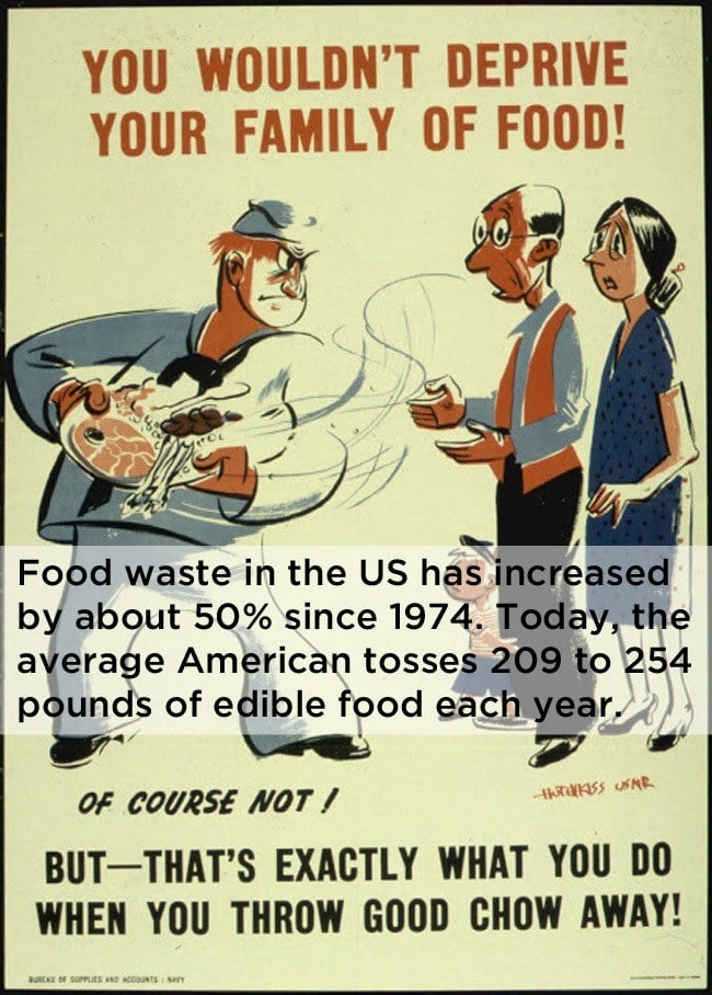 Food Waste Poster