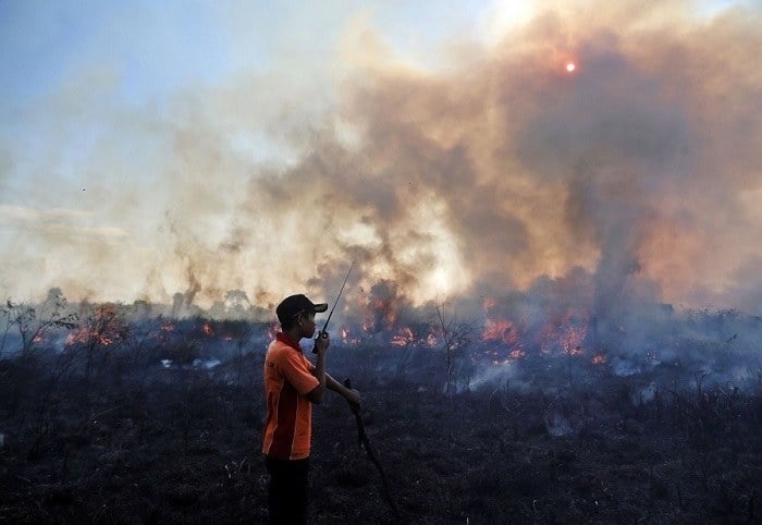 Indonesia Fire