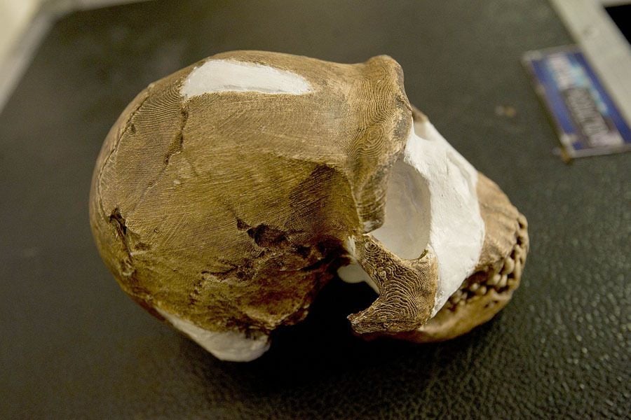 Scientific Discoveries 2015 Homo Naledi