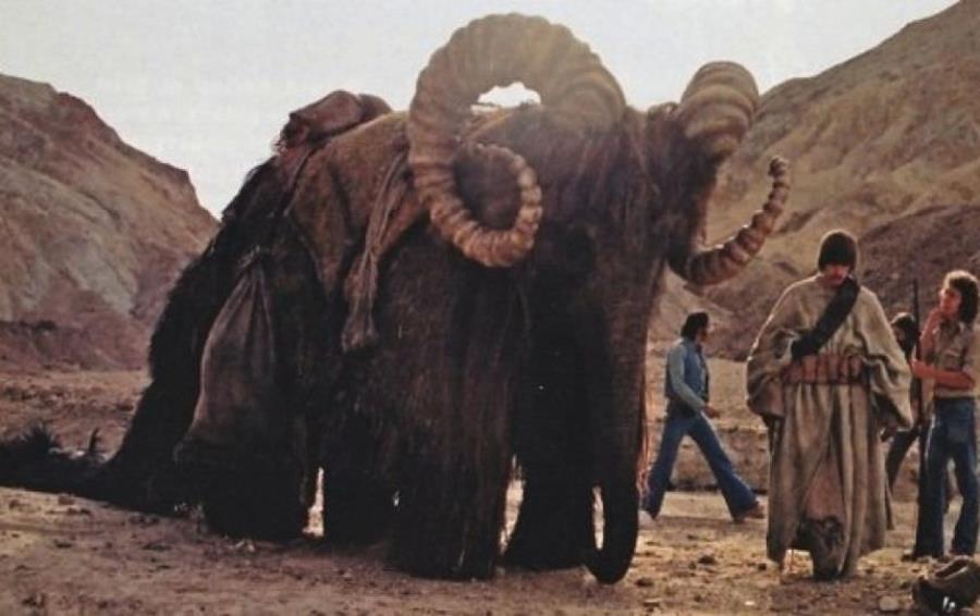 Bantha