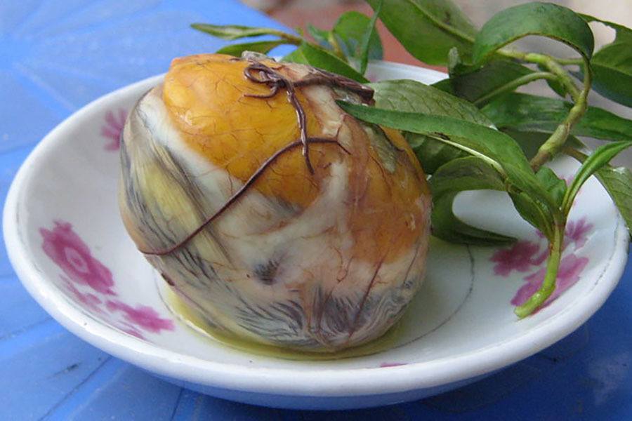 Gross Food Vietnam Balut