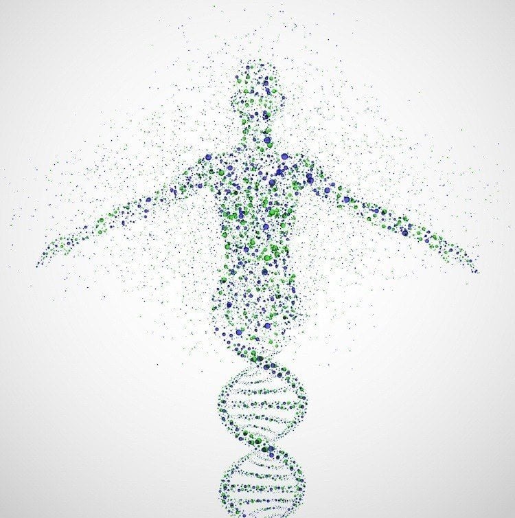 Human Genome Connection