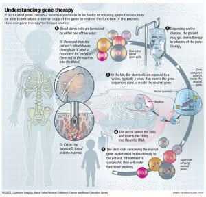 Genetically Modified Humans: 4 Kinds We Can Now Create