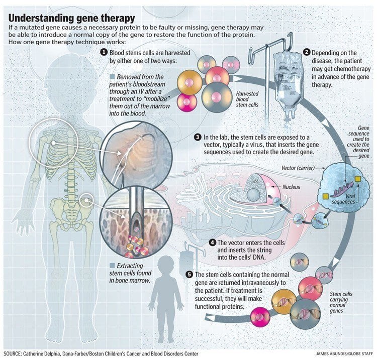 Human Genome Therapy