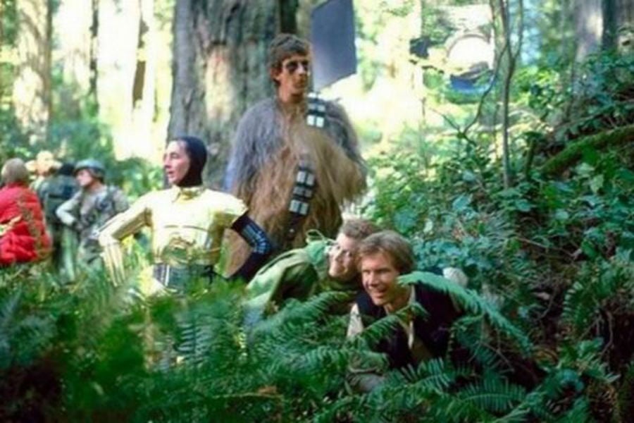Moon Of Endor