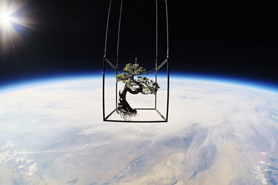 Shiki Space