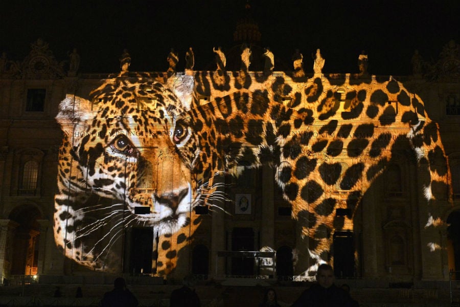 Vatican Art Projection