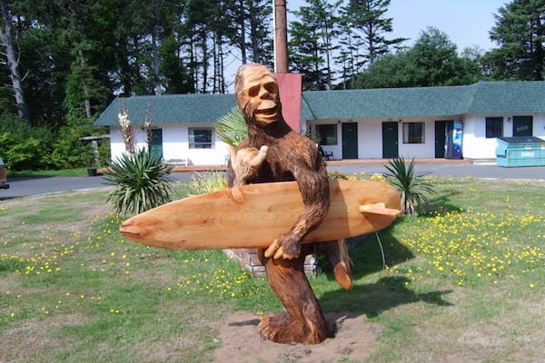 Surfing With Sasquatch