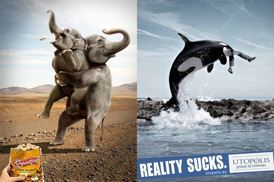 Elephants Whales