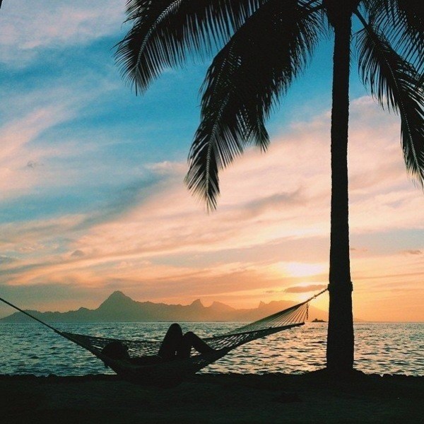 Hammock Sunset Tropical