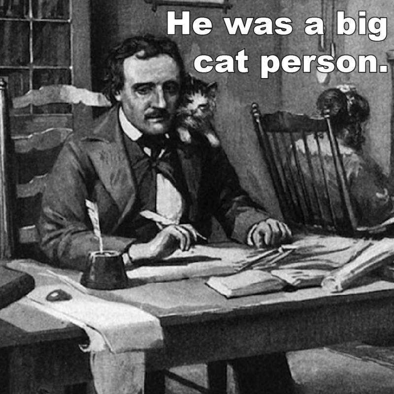 Poe Facts Cat Person