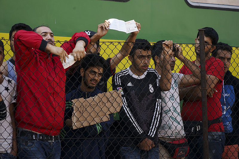 Syrian Refugee