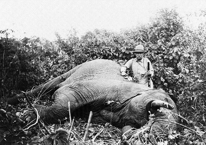 Teddy Roosevelt On An Elephant Hunt