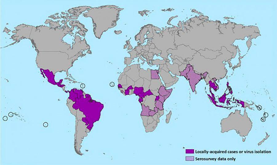 What Is Zika? Everything You Need To Know About The Zika Virus