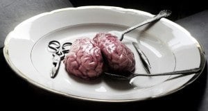 Brain On Plate